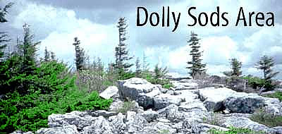 Dolly Sods photo