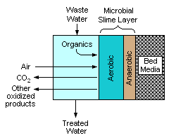 Trickle Filter Cross-section.png