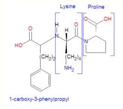 Lisinopril5.png