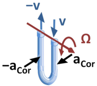 A fluid forced through a rocking tube experiences a Coriolis acceleration.